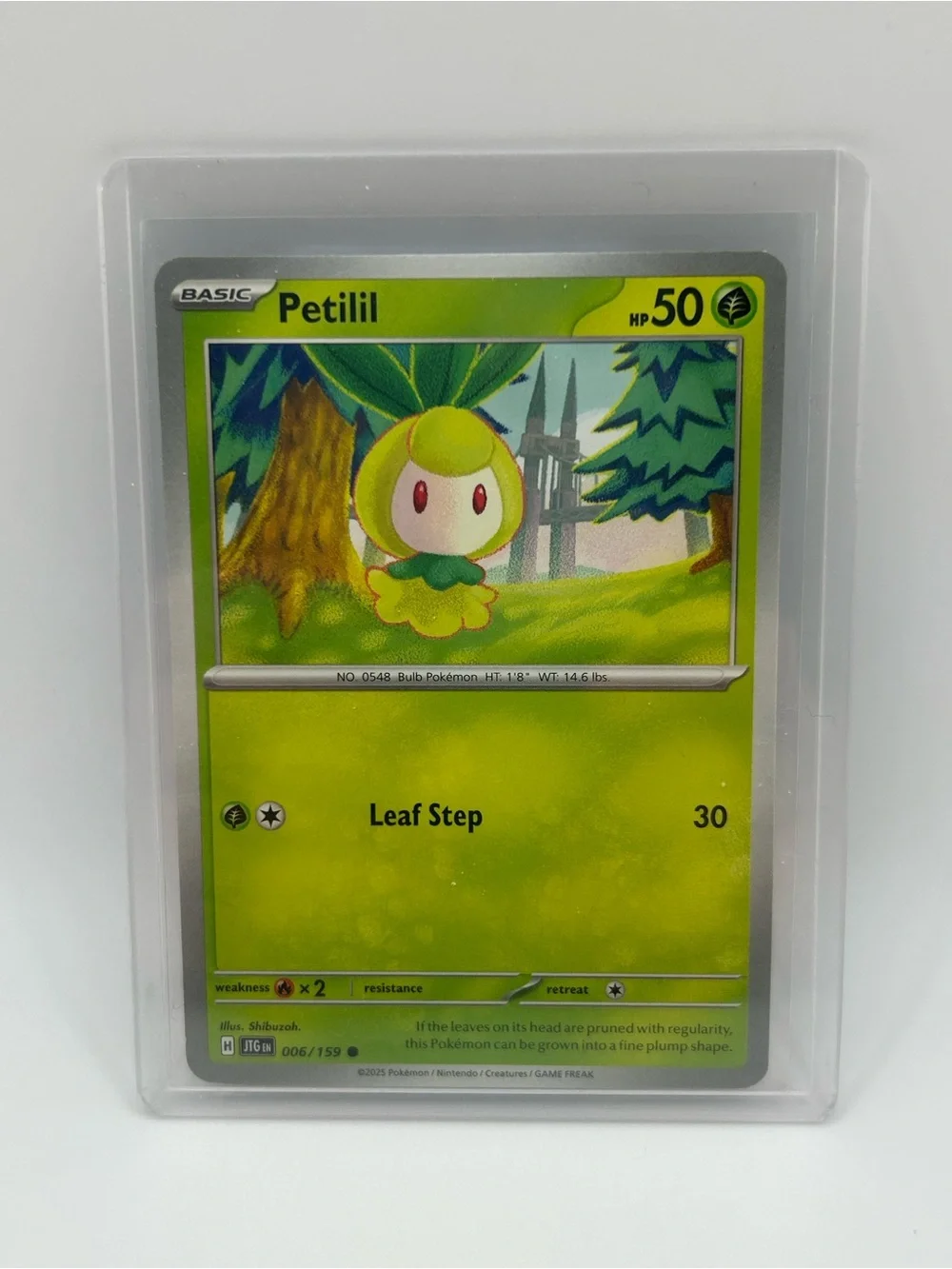 Petilil Pokémon Card 006/159 JTG EN
